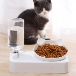Pet bowl Small and medium-sized dogs and cats Drinking water Feeding bowl Automatic refilling pet cat bowl